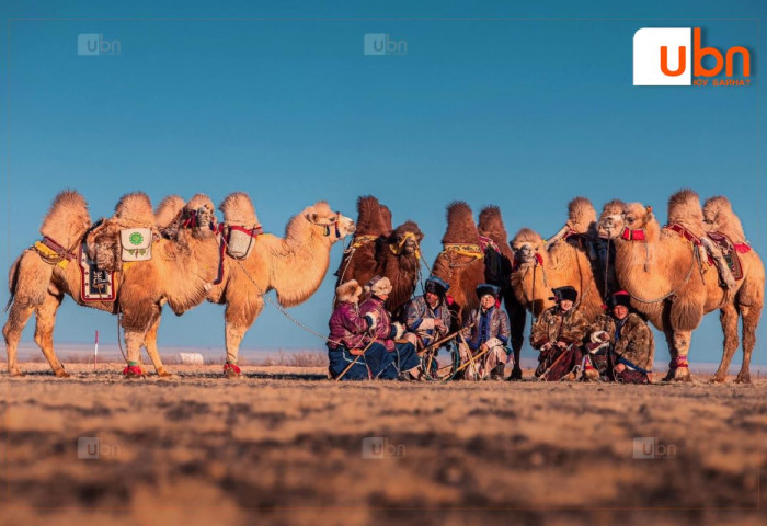Тэмээчдийн баяр энэ сарын 23-25-нд Дундговь аймагт болно