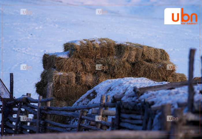 Баян-Өлгий, Увс, Ховд, Төв, Сэлэнгэ, Дархан-Уул аймгийн ихэнх нутгаар өвөлжилт хүндрэх төлөвтэй байна