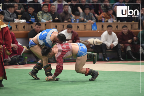 Сумын цолтон болон залуу бөхчүүдийн барилдаан болно