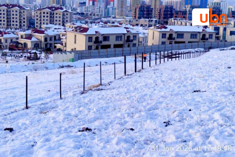 Амьтдад эрсдэл учруулсан хашааг албадан буулгажээ