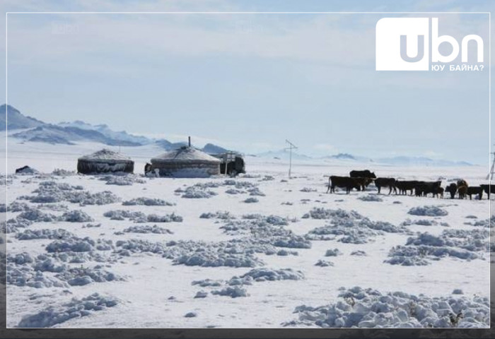 11 аймаг, 56 сумын нутгаар цагаан зудтай байна