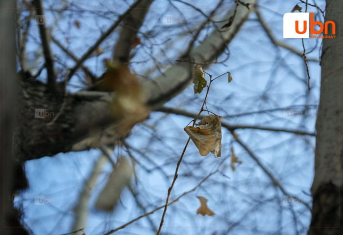 ӨГЛӨӨНИЙ МЭНД: Улаанбаатарт өдөртөө -13 хэм хүйтэн