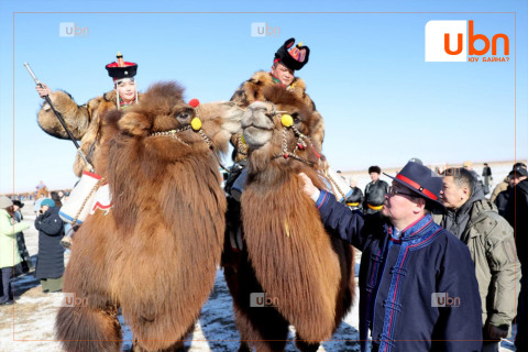 Г.Занданшатар: Монгол Улс хагас сая тэмээтэй болсон байна