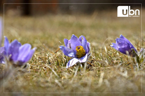 Маргааш Улаанбаатарт -5 хэм хүйтэн, багавтар үүлтэй