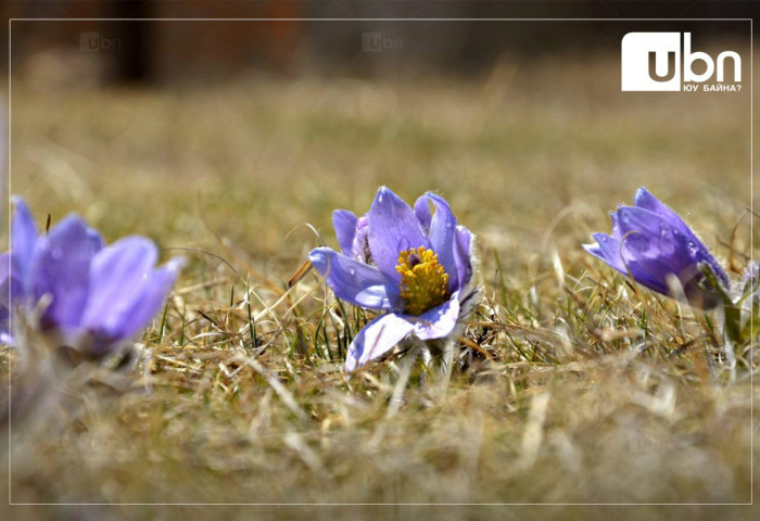 Маргааш Улаанбаатарт -5 хэм хүйтэн, багавтар үүлтэй