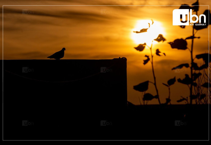 ӨГЛӨӨНИЙ МЭНД: Улаанбаатарт 1 хэм дулаан