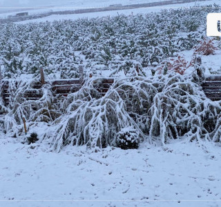 Өнөөдрөөс ихэнх нутгаар хүйтний эрч эрс чангарч байна