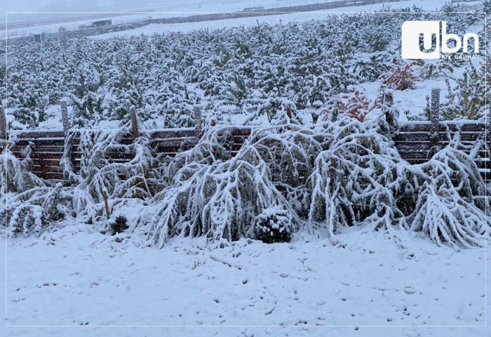 Өнөөдрөөс ихэнх нутгаар хүйтний эрч эрс чангарч байна