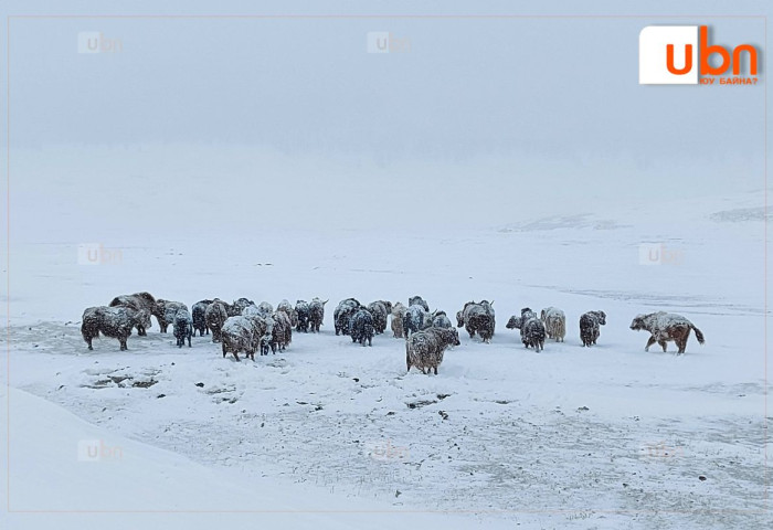 ЦУОШГ: Маргааш, нөгөөдөр төв болон зүүн аймгуудын нутгаар цас орж, цасан шуурга шуурна