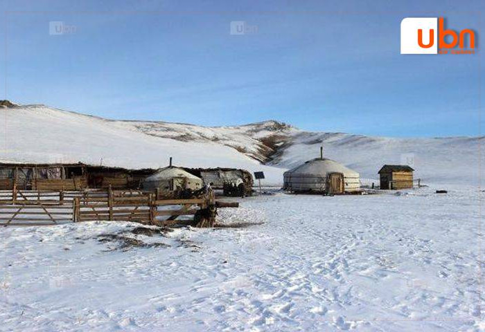 Малчдад тэжээлийн ургамал тариалах болон өвөлжөө, хаваржааны зориулалтаар газар үнэгүй эзэмшүүлнэ