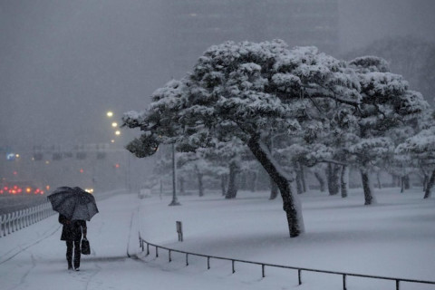 Японд цас их орох төлөвтэй байгааг анхааруулав