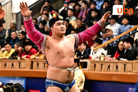 Залуу арслан Э.Батмагнай төрөлх нутгийнхаа золголтын барилдаанд зодоглоно