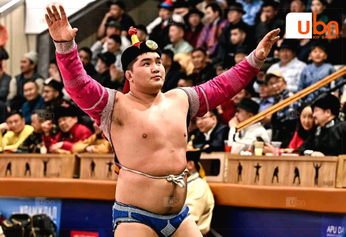 Залуу арслан Э.Батмагнай төрөлх нутгийнхаа золголтын барилдаанд зодоглоно