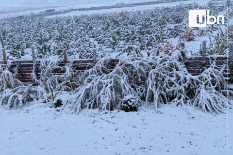 ЦУОШГ: Маргааш, нөгөөдөр ихэнх нутгаар жавартай хүйтэн байхыг ОНЦГОЙРУУЛАН анхааруулж байна