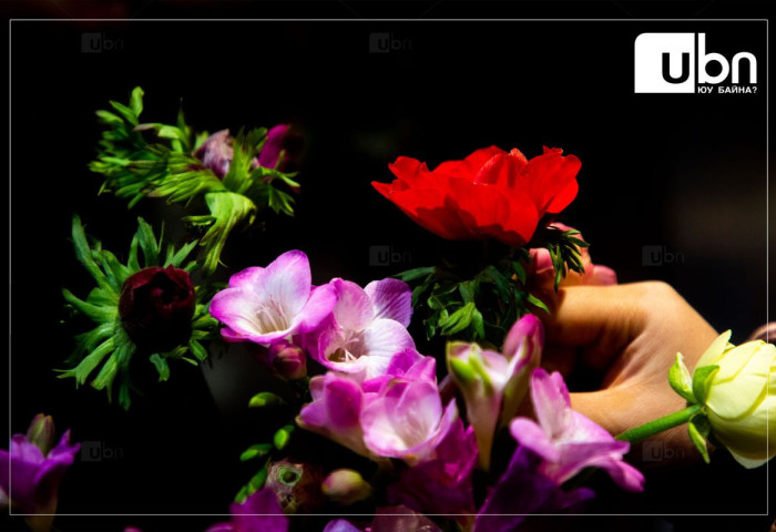 Олон улсын эмэгтэйчүүдийн эрхийг хамгаалах өдөр тохиож байна