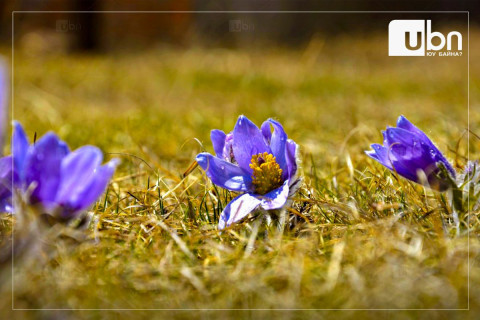 ӨГЛӨӨНИЙ МЭНД: Улаанбаатарт +4 хэм дулаан