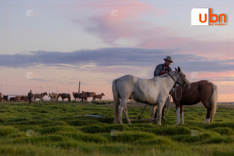ЦАГ АГААРЫН ТӨЛӨВ: IV, V, VI сард олон жилийн дунджаас дулаан байх төлөвтэй байна