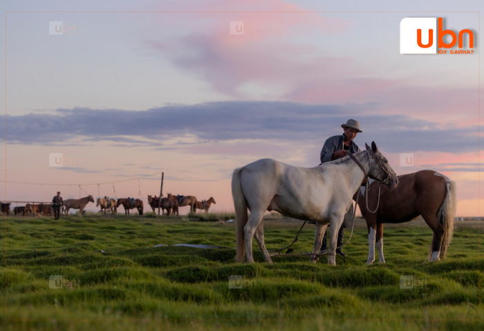 ЦАГ АГААРЫН ТӨЛӨВ: IV, V, VI сард олон жилийн дунджаас дулаан байх төлөвтэй байна