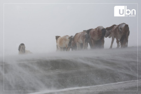 ЗГ: Гамшигт үзэгдлийн улмаас амиа алдсан малчны ар гэрт 37 сая төгрөгтэй тэнцэх нэг удаагийн буцалтгүй тусламж олгоно