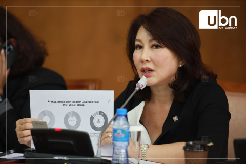 Б.Баярсайхан: 1992-1995 онд сургуулиас завсардсан 47 мянга, “траншейны” гэгддэг 5 мянга гаруй хүүхэд байсан