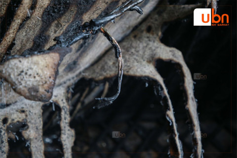 Гэр шатаж 67 настай эрэгтэй 90 хувь, хүү нь 20 хувь түлэгдсэн харамсалтай хэрэг гарчээ