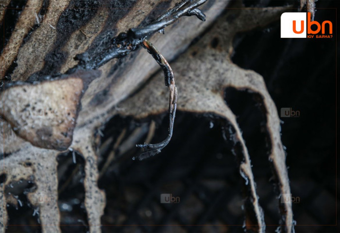 Гэр шатаж 67 настай эрэгтэй 90 хувь, хүү нь 20 хувь түлэгдсэн харамсалтай хэрэг гарчээ