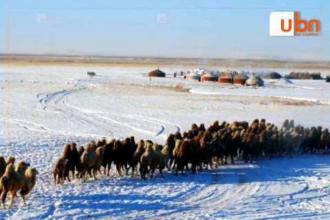 Монгол орны нийт газар нутгийн 34 хувь нь цасан бүрхүүлтэй байна