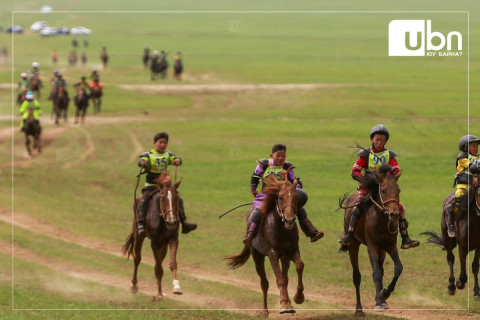 Баяр наадмаар уралдах хурдан морины сэрвээний өндөрт өөрчлөлт орууллаа