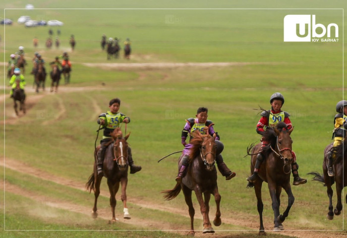 Баяр наадмаар уралдах хурдан морины сэрвээний өндөрт өөрчлөлт орууллаа