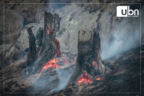 Ой хээрийн түймэр тавьсан иргэнд нэг жилийн хугацаанд тэнсэх, 7,6 сая төгрөгөөр торгох шийтгэл оногдуулжээ