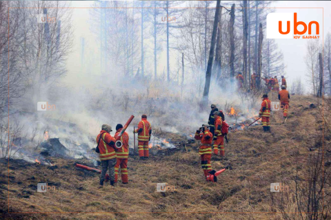 Ойн гал түймэрт 9 га талбай өртөж шатжээ