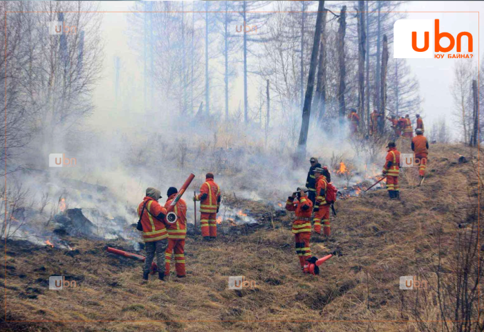 Ойн гал түймэрт 9 га талбай өртөж шатжээ
