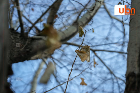 АМРАЛТЫН ӨДРИЙН МЭНД: Улаанбаатарт өдөртөө 3 хэм дулаан