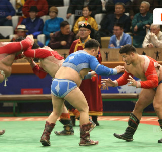 Алтан цомын зургаадугаар тойргийн сүүлийн барилдаан өнөөдөр болно