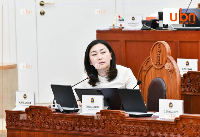 Х.Булгантуяа: УИХ Үндсэн хуулийн зөрчилтэй Дэгийн тухай хуулиар зургаан жил ажиллачихсан байна