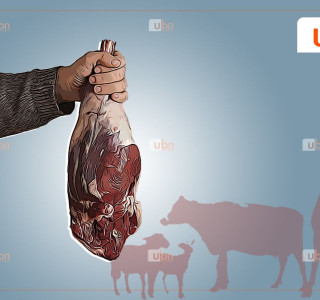 ТОДРУУЛГА: Үхрийн махыг малчдаас шууд худалдан авахад 21-24 мянга, хонины мах 16-18 мянган төгрөгийн үнэтэй байна