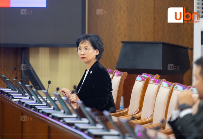 Б.Хэрлэн: М.Нарантуяа-Нара гишүүнд өөртэй нь холбоотой 48 өргөдлийг танилцуулсан