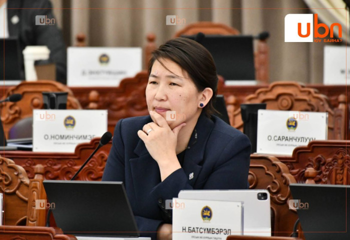 Х.Баасанжаргал: Ерөнхийлөгч өөрөө намаасаа түдгэлзсэн ч баг нь тэр чигтээ улс төрийн намын гишүүнчлэлтэй байна