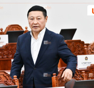 Н.Алтанхуяг: Би Ерөнхийлөгчийн оронд байсан бол энэ хуулийг татаж авна