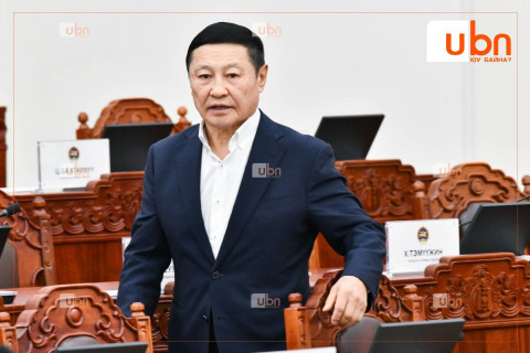 Н.Алтанхуяг: Би Ерөнхийлөгчийн оронд байсан бол энэ хуулийг татаж авна
