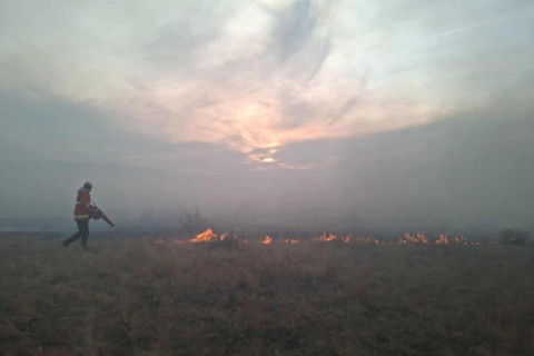 Ой, хээрийн гурван түймрийг бүрэн унтрааж, 4 түймрийг цурамд орууллаа