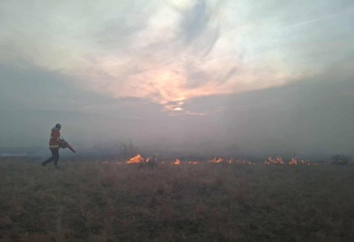 Ой, хээрийн гурван түймрийг бүрэн унтрааж, 4 түймрийг цурамд орууллаа