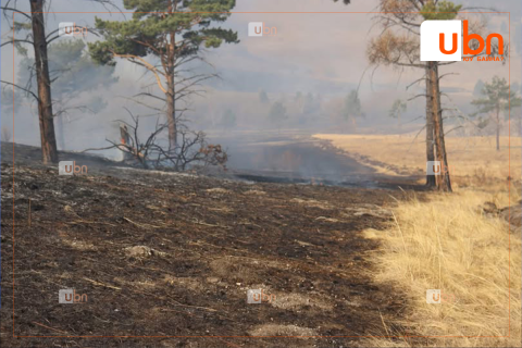 Сүхбаатар аймагт бүртгэгдсэн хээрийн гурван түймрийг унтраахаар ажиллаж байна