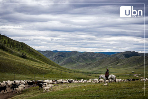 Малын хулгайн хэрэгт 551 хүнийг яллагдагчаар татсаны 485 нь эрхэлсэн ажилгүй байна