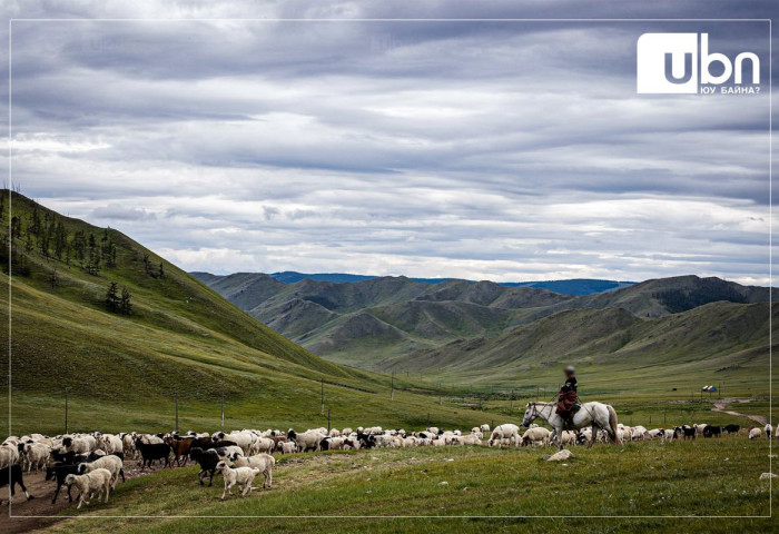 Малын хулгайн хэрэгт 551 хүнийг яллагдагчаар татсаны 485 нь эрхэлсэн ажилгүй байна