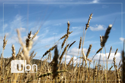 Тариаланчдад 17.1 тэрбум төгрөгийн урамшуулал олгожээ