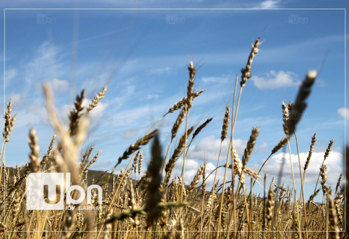 Тариаланчдад 17.1 тэрбум төгрөгийн урамшуулал олгожээ