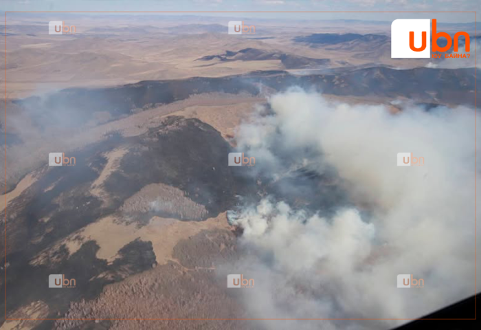 Хээрийн түймэрт 15.8 мянга орчим га талбай шатжээ