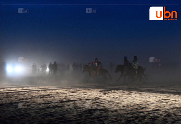 ХГБХХЕГ: 2026 онд мориноос унаж 1 хүүхэд хүнд бэртэл авч, 2 хүүхэд нас баржээ