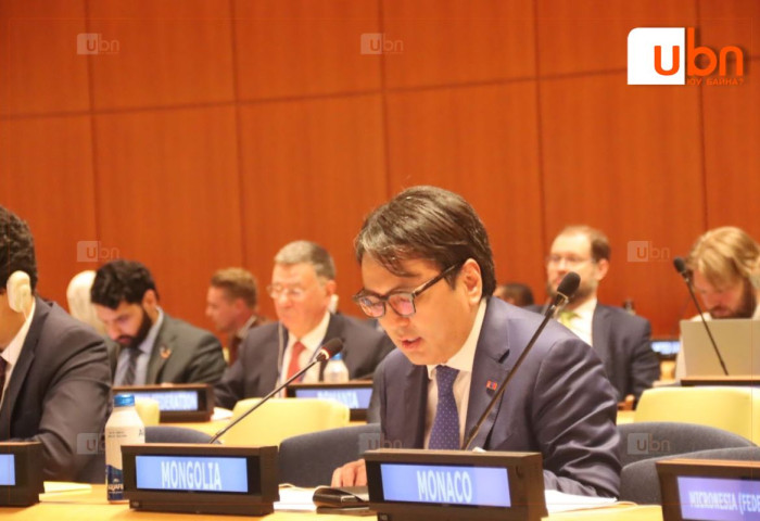 Шадар сайд Т.Доржханд НҮБ-ын Хөгжлийн санхүүжилтийн чуулга уулзалтад оролцож үг хэллээ